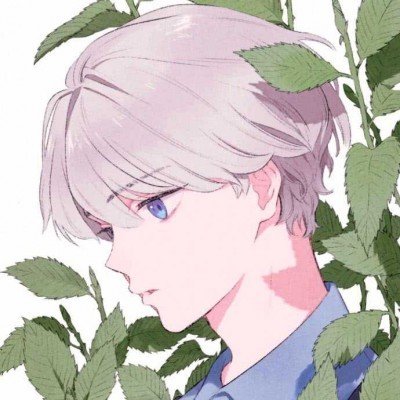 浪姐三天直播三场